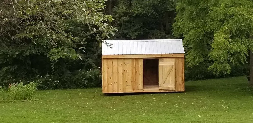 Wooden shed with open door and metal roof on a green lawn, trees in background.