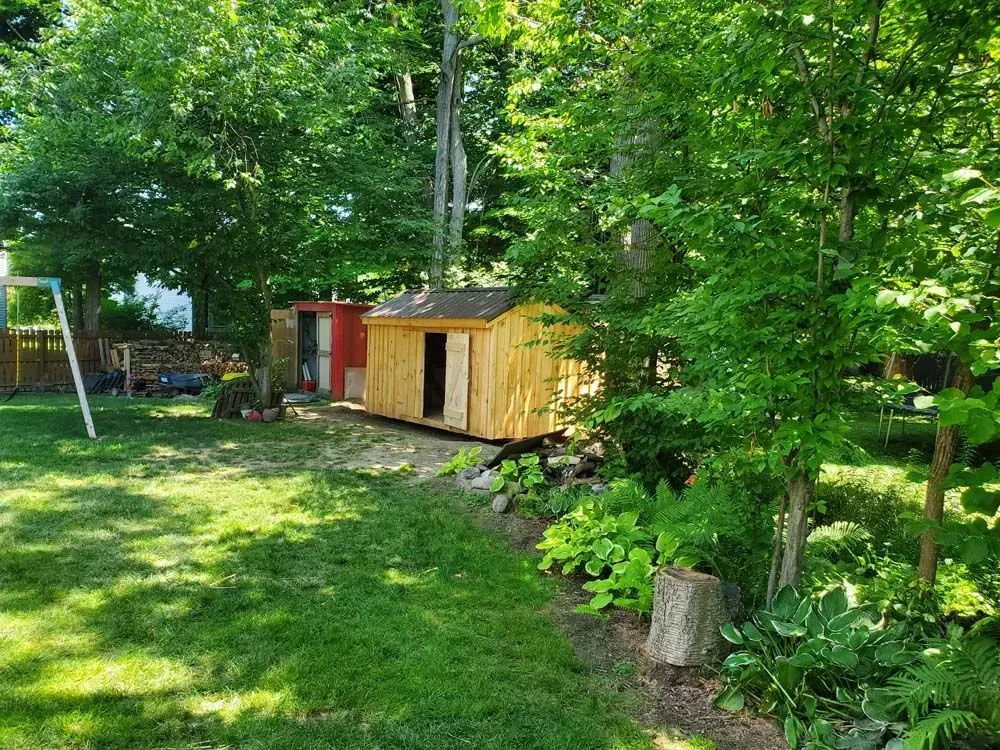 Backyard with a new wooden shed, a red shed, trees, and a swing set, on a sunny day.