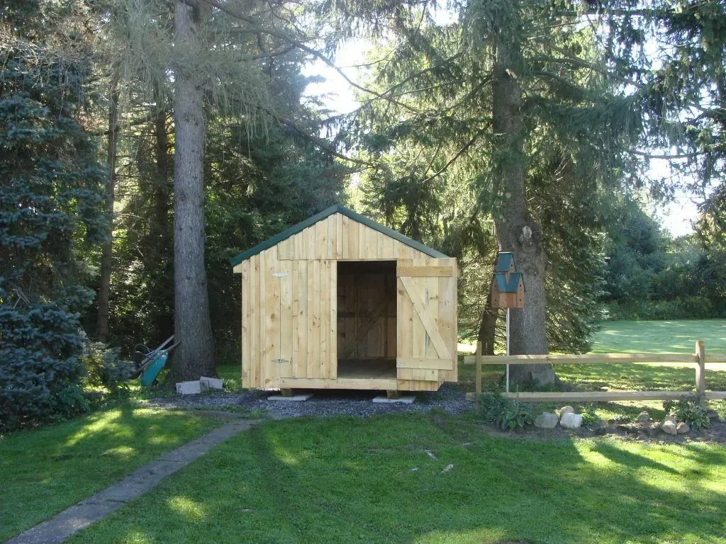 Wooden shed with open door, green roof, in a grassy yard surrounded by trees.