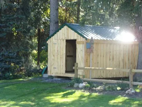 Wooden shed with green metal roof and open doorway in a grassy, sunny yard.