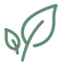 Green outline of two leaves on a white background