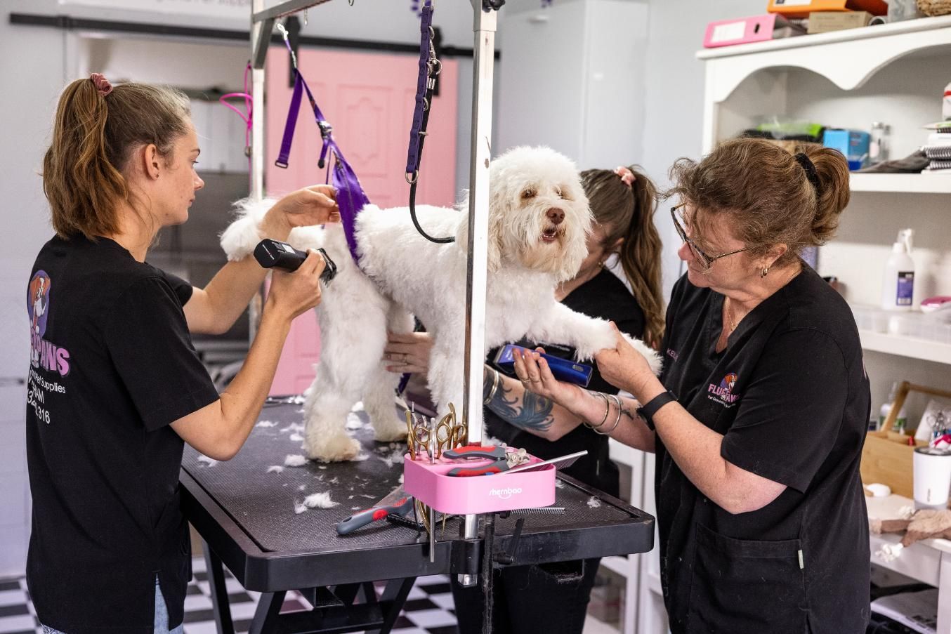 Two Women Are Grooming a White Dog in a Dog Grooming Salon — Fluffy Paws Pet Grooming In Wingham, NSW