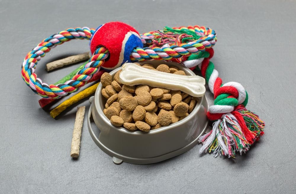 A Bowl of Dog Food , Toys , and a Bone on a Table — Fluffy Paws Pet Grooming In Wingham, NSW