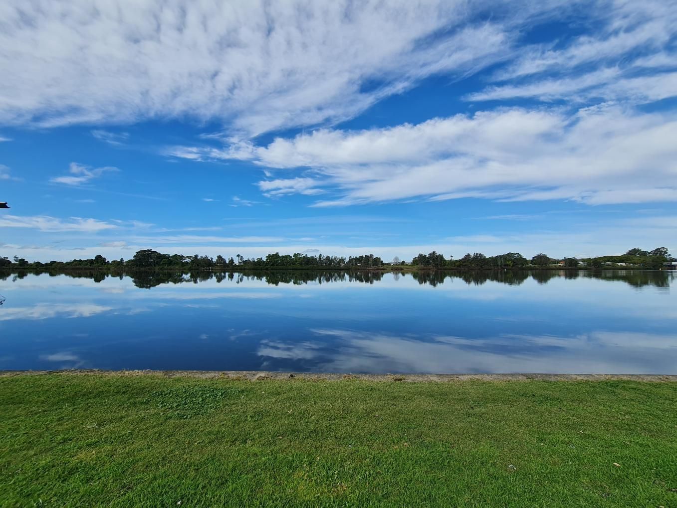 A Large Body of Water Surrounded by Grass and Trees on a Sunny Day — Fluffy Paws Pet Grooming In Taree, NSW