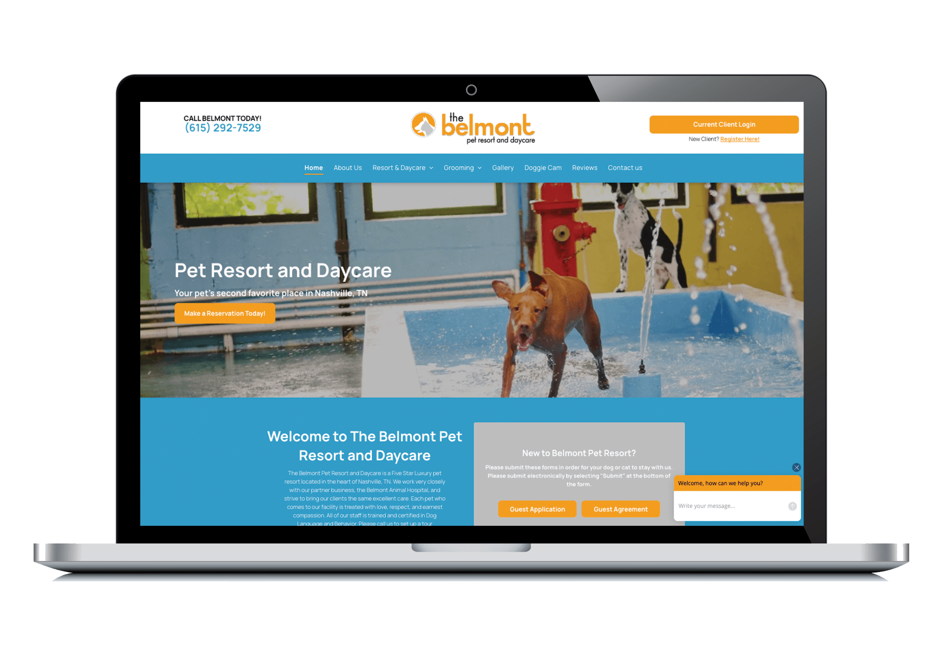the belmont pet resort and daycare