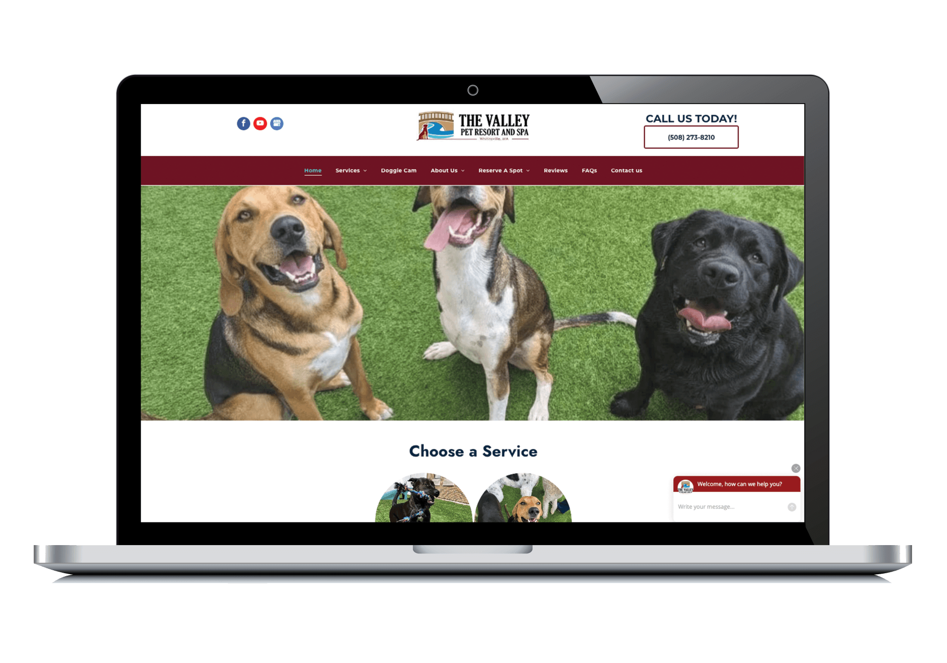 the valley pet resort and spa