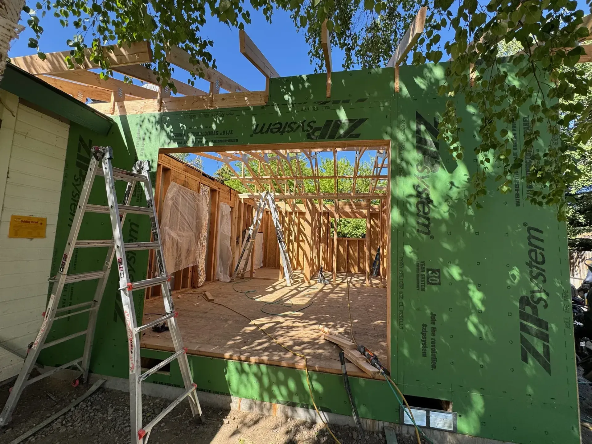 Ladder beside a green-framed doorway under a leafy pergola, looking into a sunlit corridor with hanging vines.
