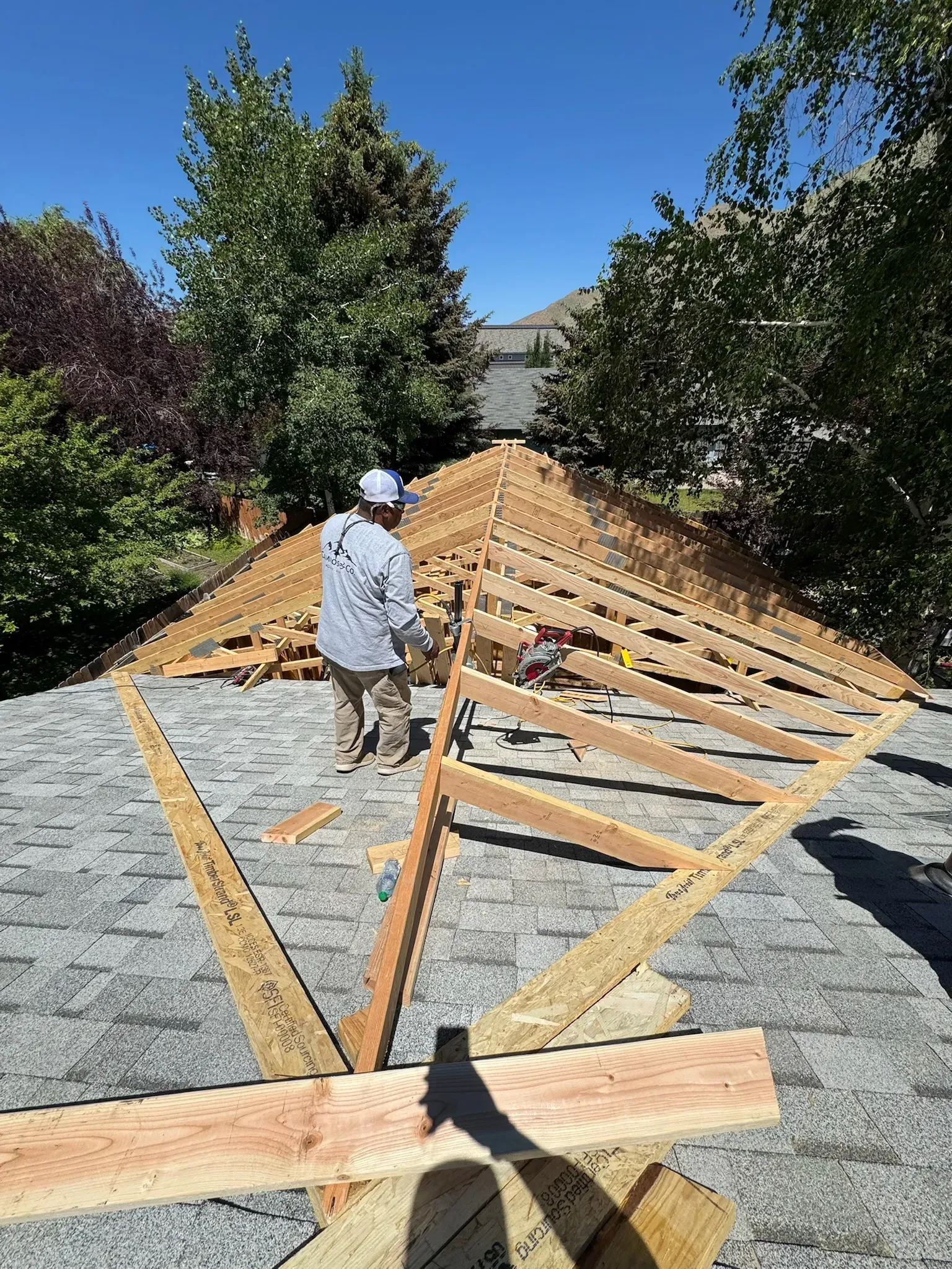 Person standing beside a large wooden framework under construction in a sunny backyard