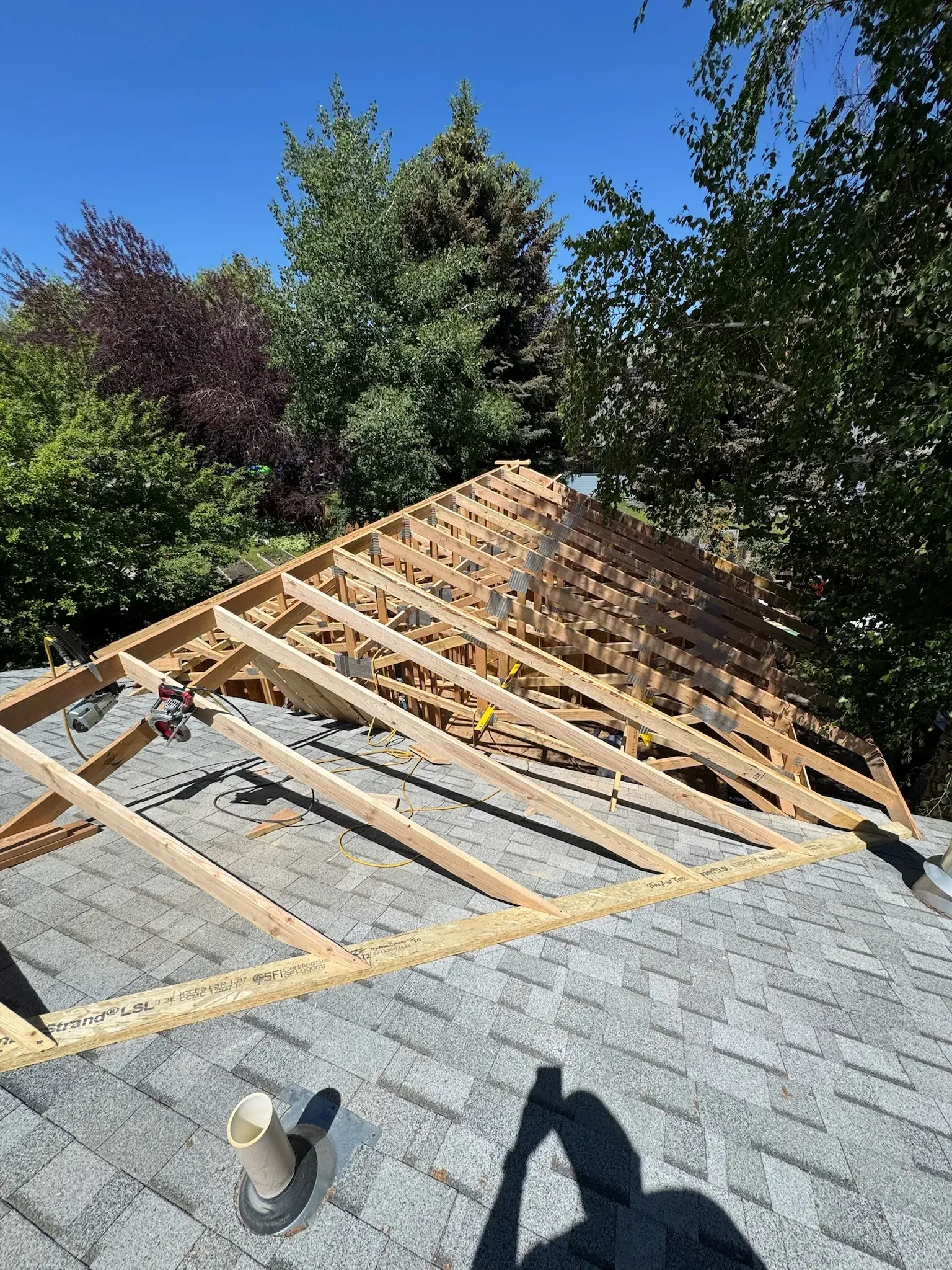 Roof framing under construction on a house, with wooden trusses over a gray shingled roof and trees in the background