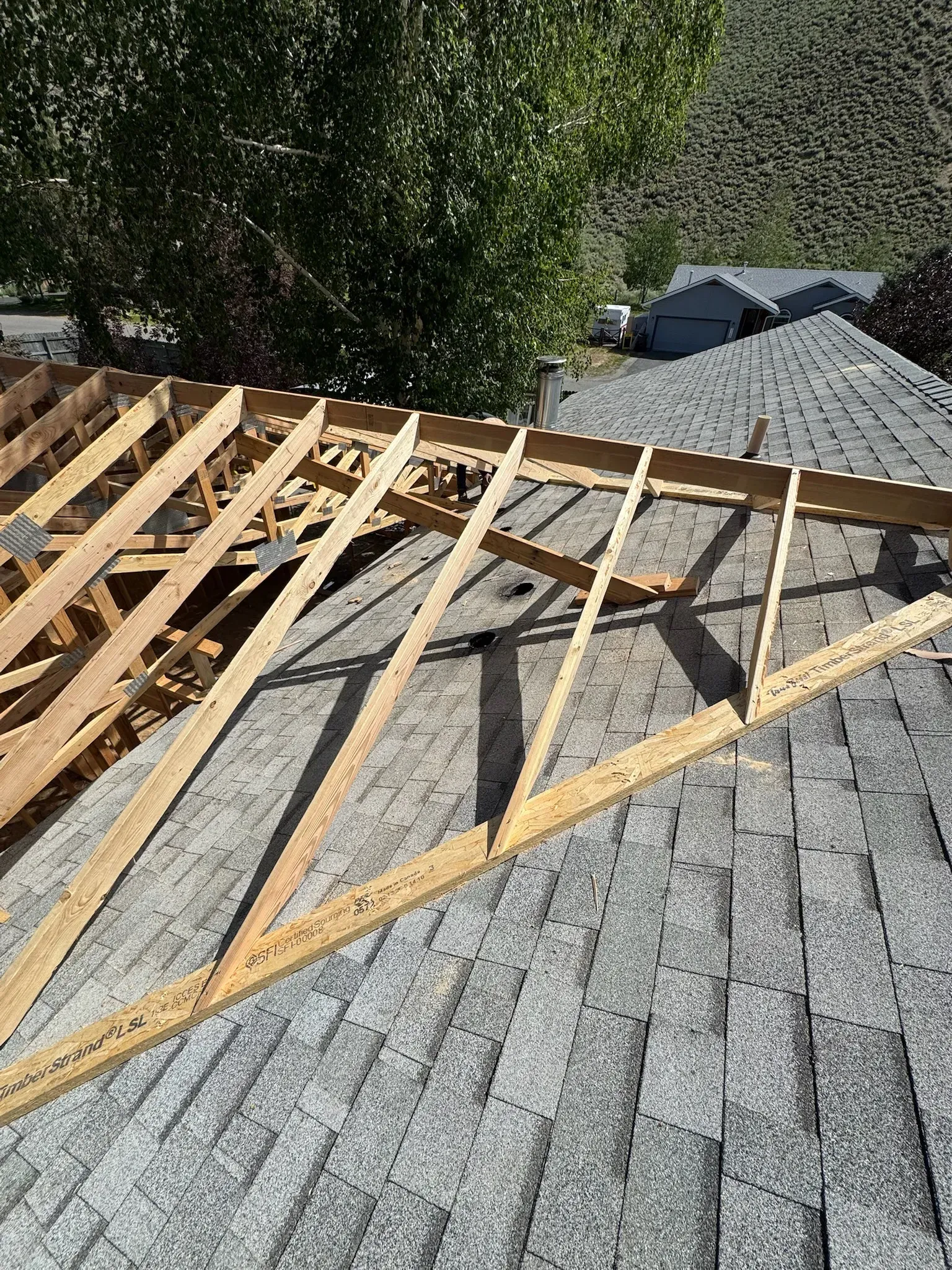 Roof under construction with exposed wooden trusses over gray asphalt shingles.