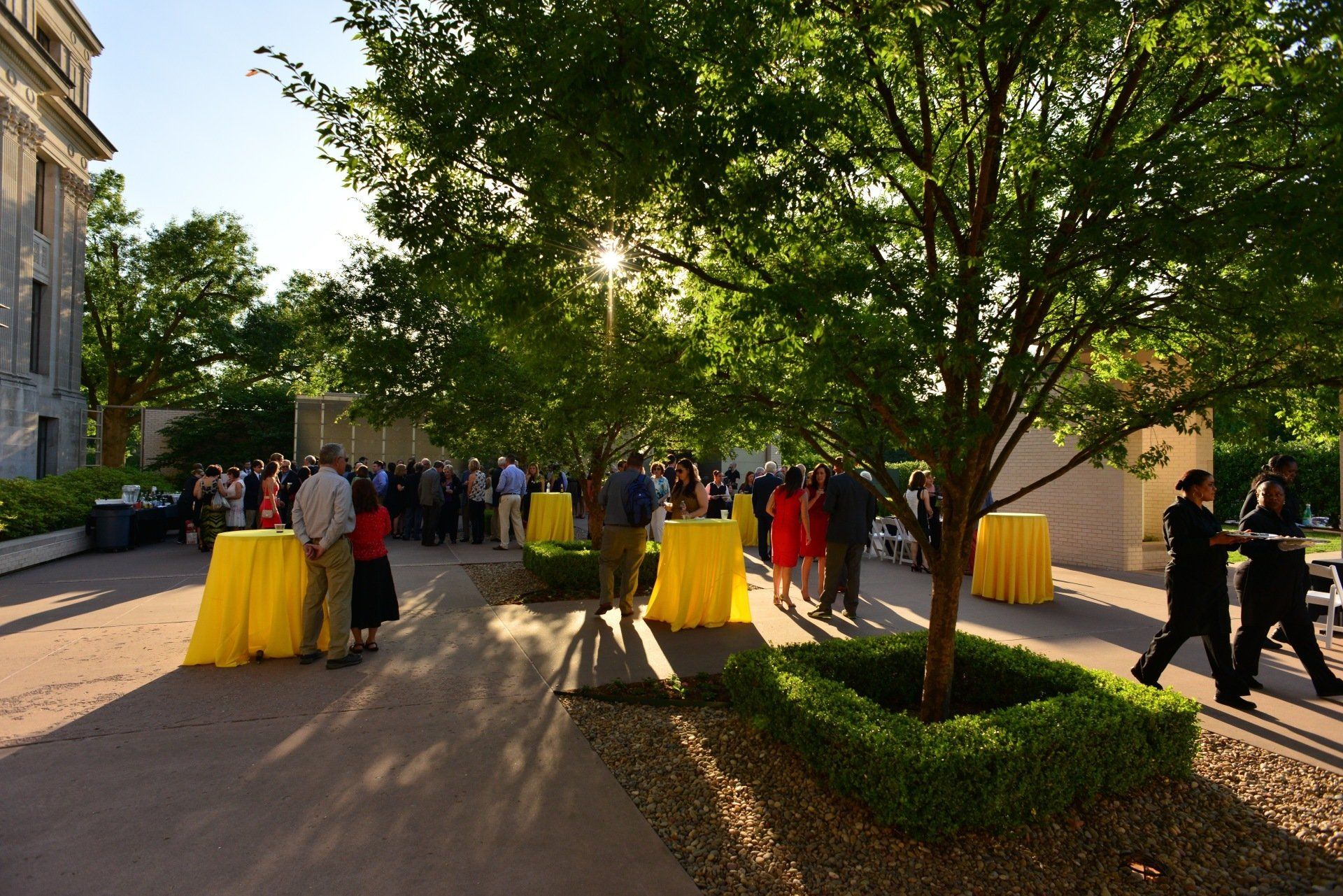 Outdoor event with people mingling under trees; yellow tablecloths on cocktail tables.
