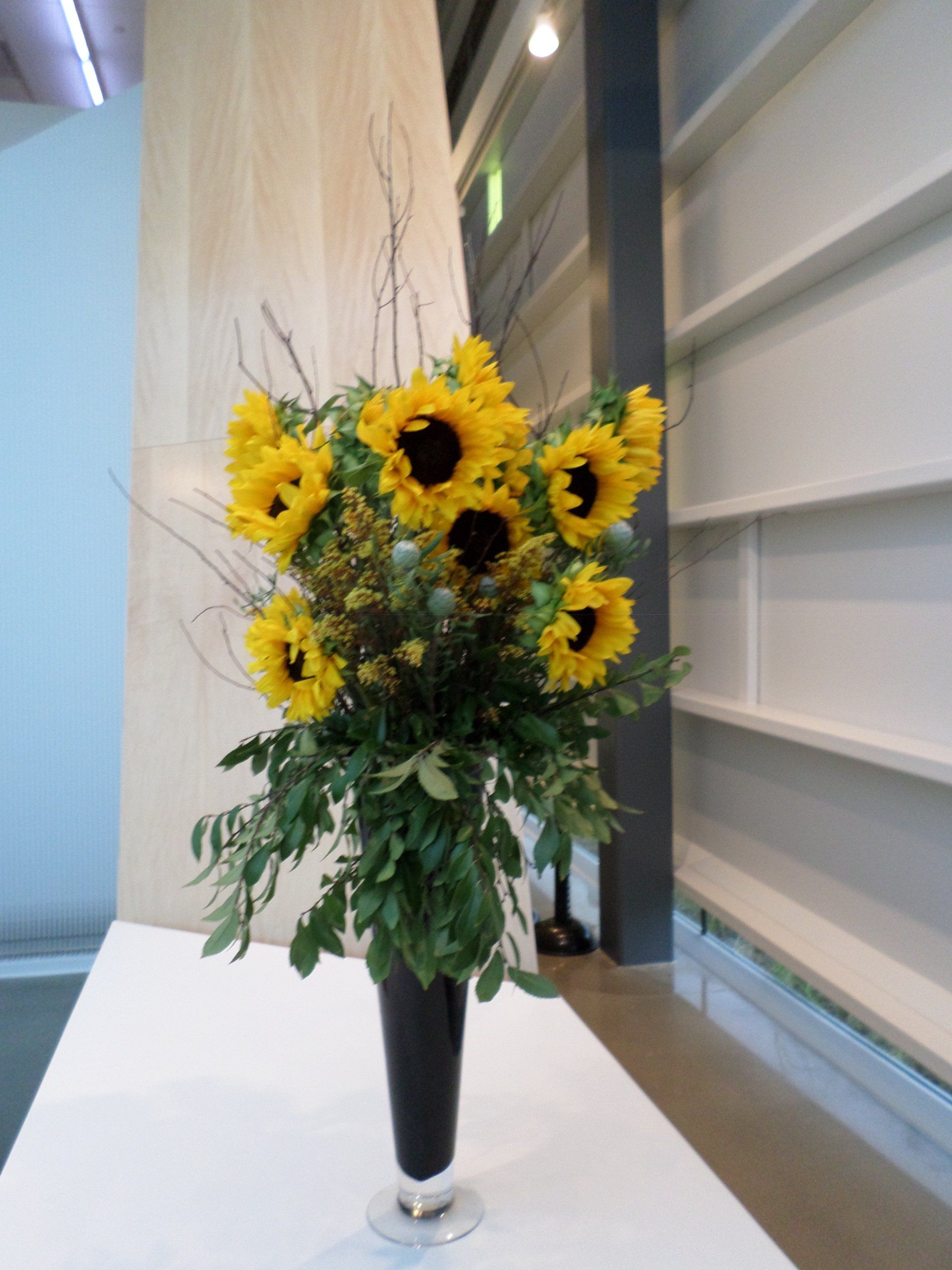 Sunflowers in a tall black vase on a white table. Interior setting, with a white wall and shelves in the background.