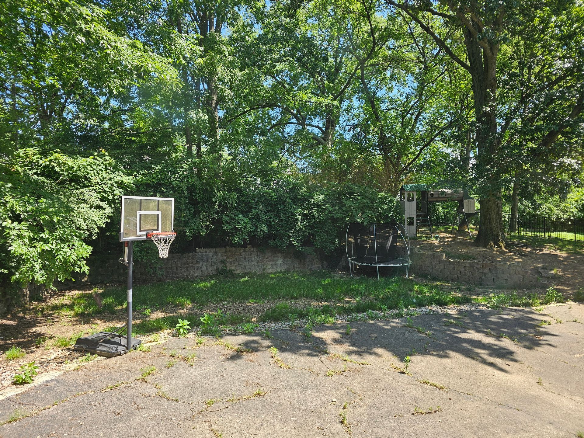 A basketball hoop is in the middle of a park surrounded by trees.