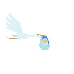 Naming Ceremonies Icon