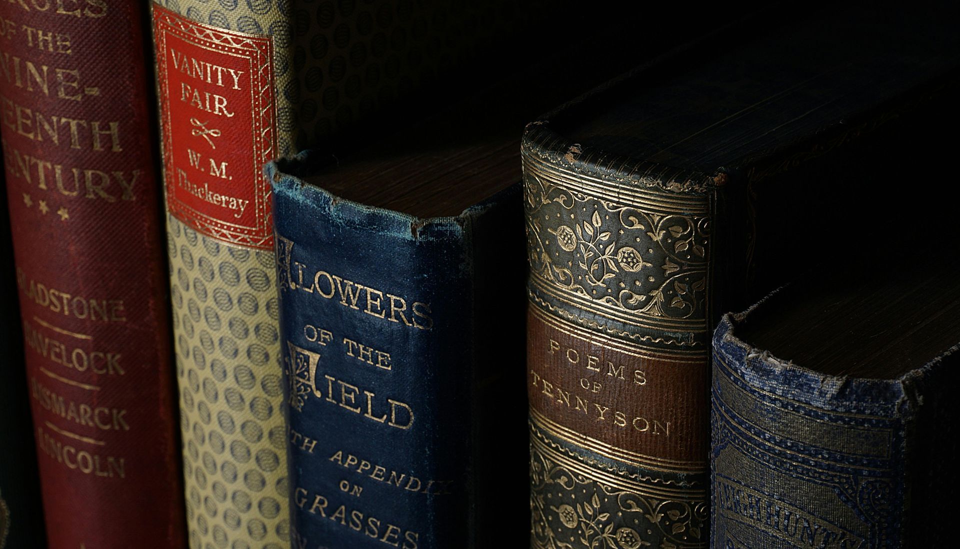 Row of Antique Leather-bound Books — Vivienne Celebrant - Gold Coast Wedding Celebrant in Mudgeeraba, QLD