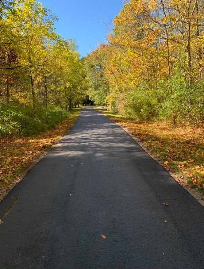 Paved road through a sunlit autumn forest with yellow and orange leaves lining both sides