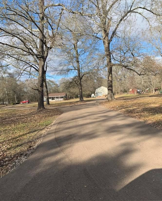 Paved park path curving through leafless trees on a sunny day, with a small pavilion in the distance.