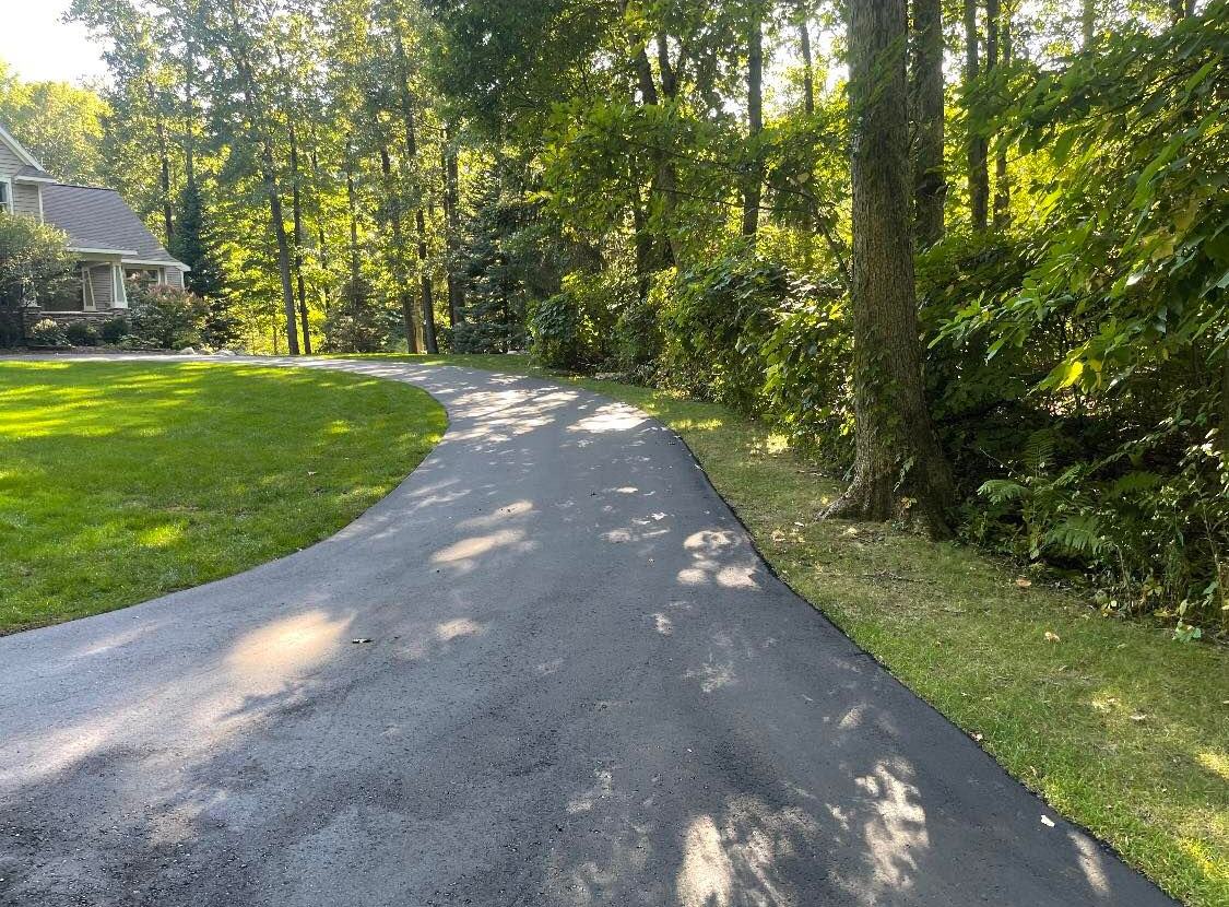 Curved paved path through a green wooded yard beside a house in sunlight