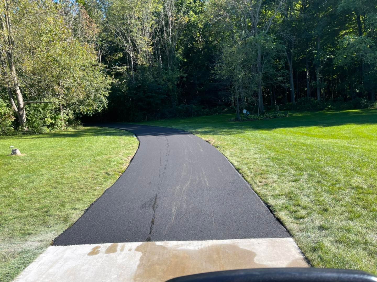 Paved path winding through a grassy park with trees in the background