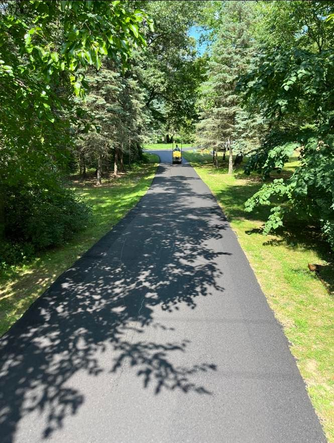 Tree-lined paved path in a park, with sunlight and a cyclist in the distance.