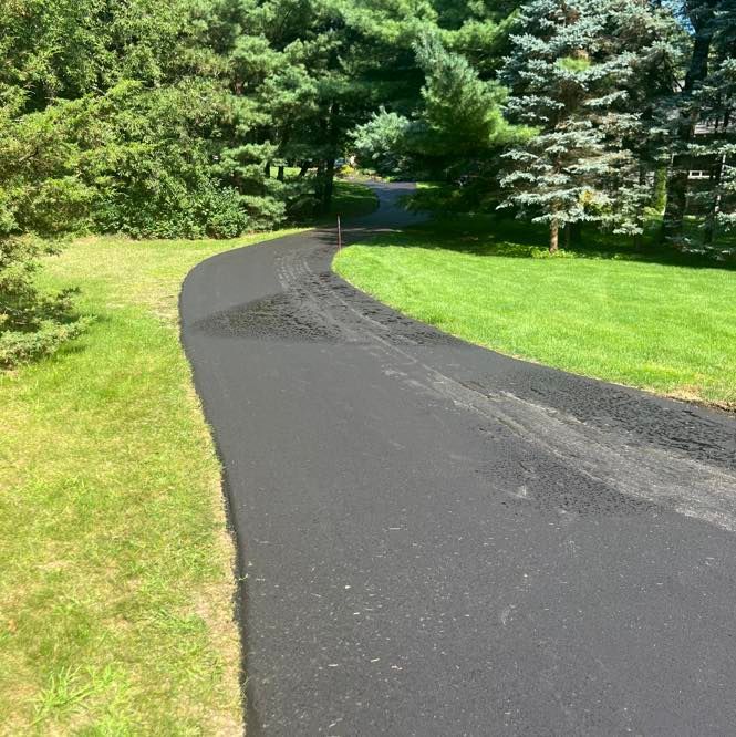 Curving black paved driveway through green grass and trees in a sunny yard