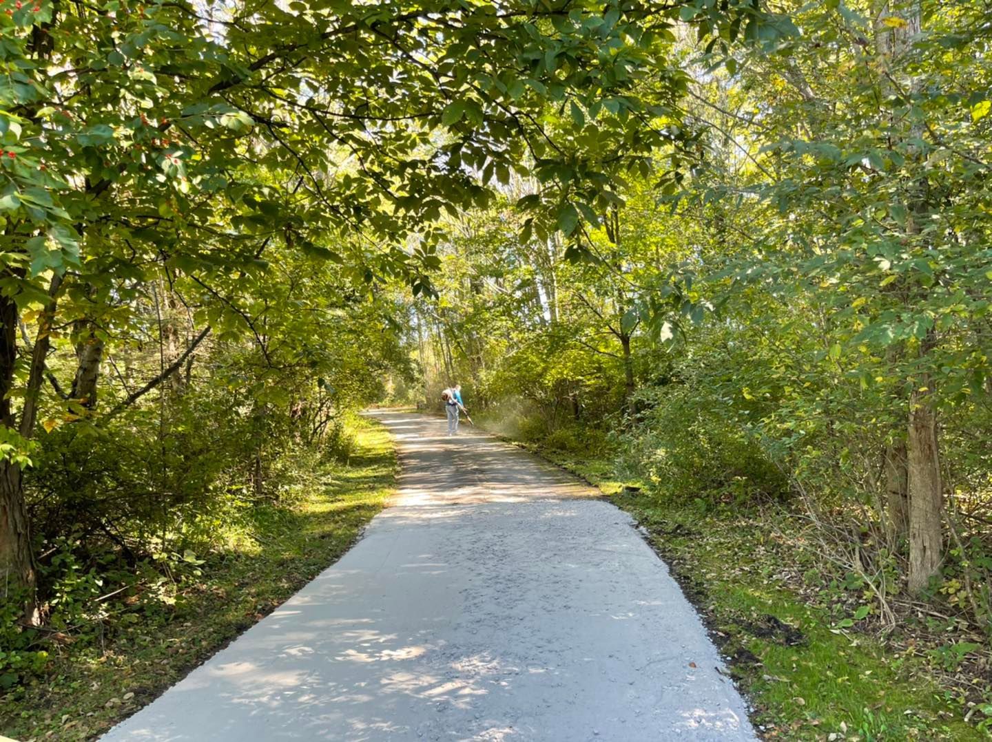 Paved trail winding through a leafy green forest, with a person in the distance.