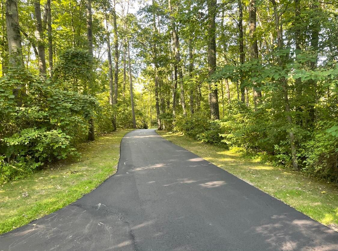 Paved path winding through a sunlit green forest with trees on both sides