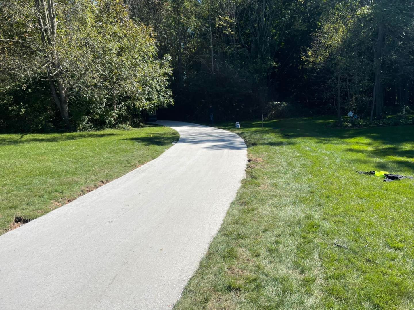 Curving paved path through a sunny green park with trees and grass