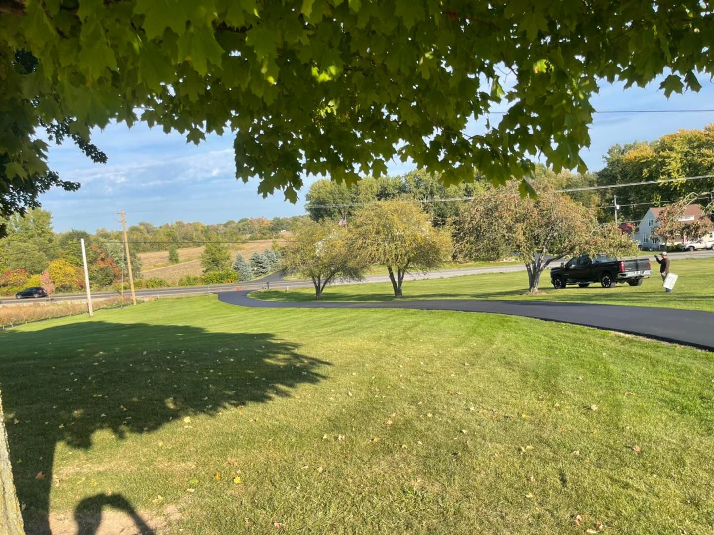 Sunny park lawn with trees, a curving path, and a road with parked cars in the background