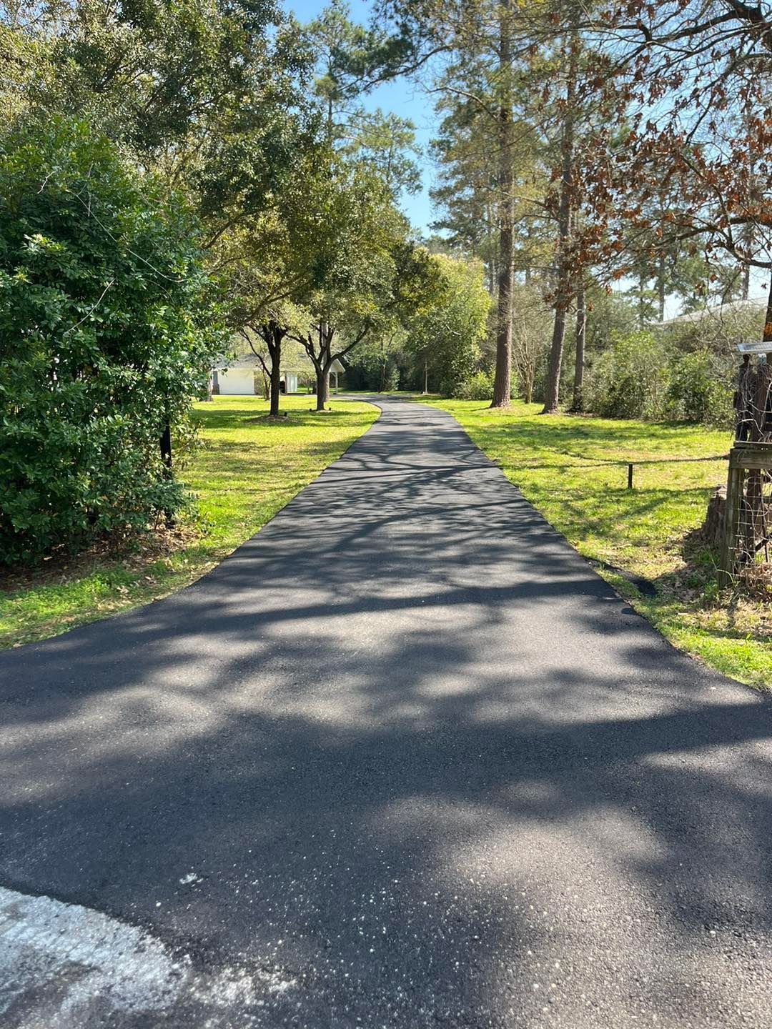 Paved path through a sunny park with trees and green grass