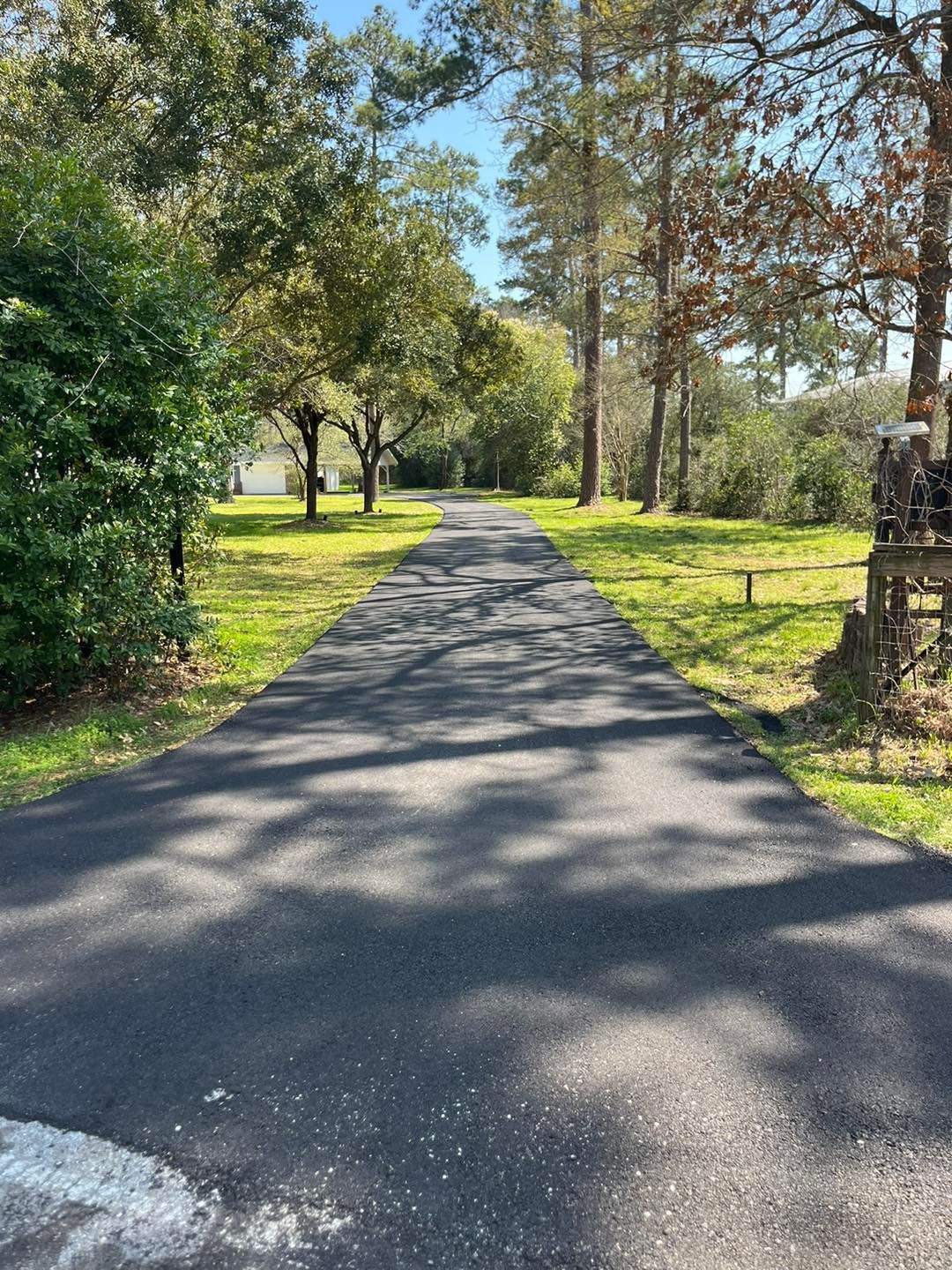 Sunny paved path through a green park with trees and dappled shadows