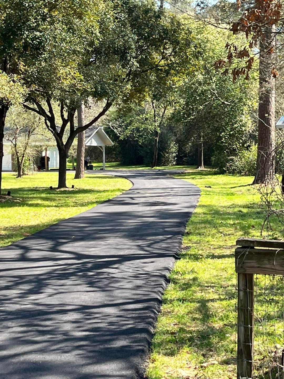 Sunlit winding paved path through a green park with trees and shadows