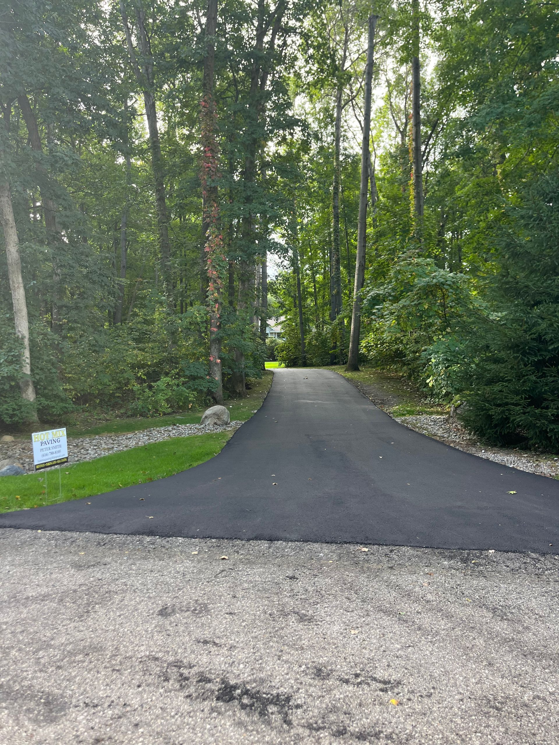 Wooded driveway with a paved path curving into dense green trees.