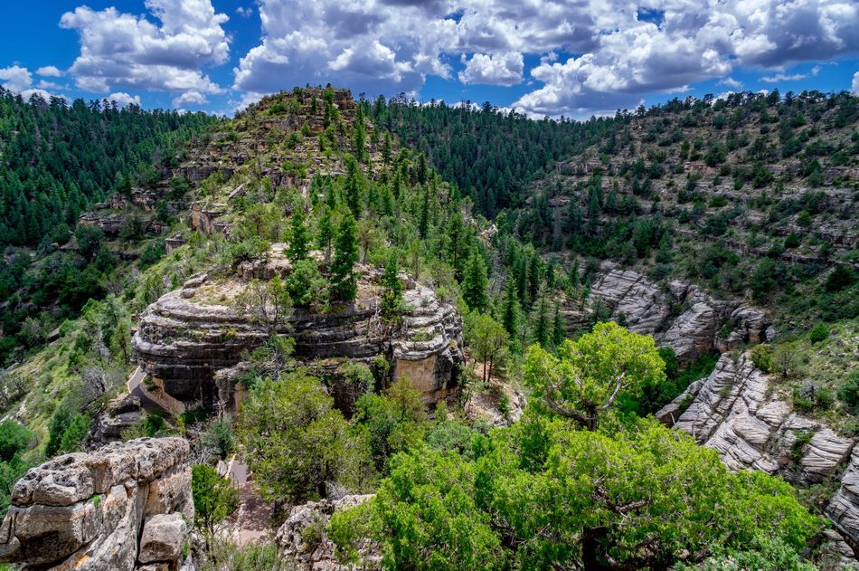 Rocky canyon with evergreen trees and a bright blue sky dotted with clouds