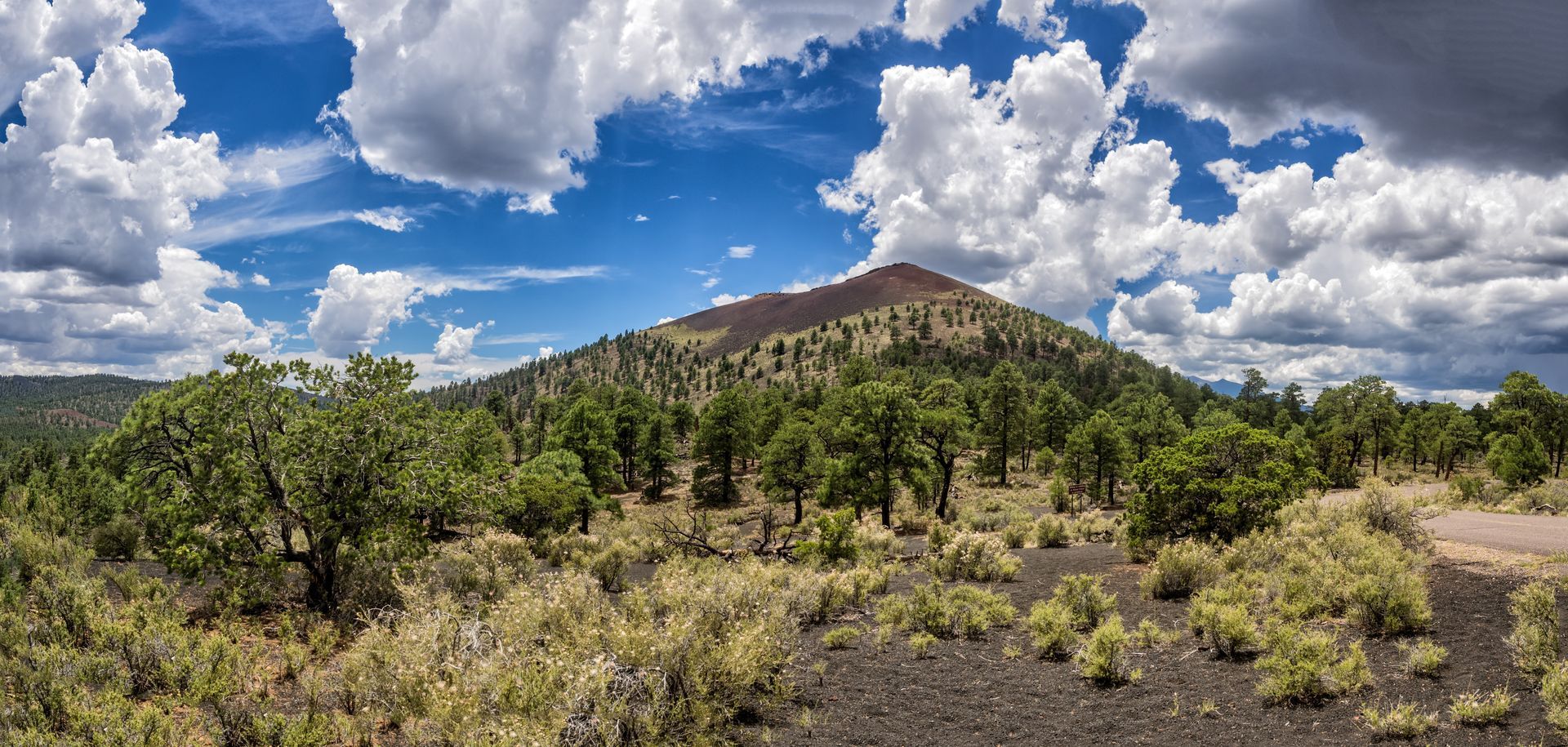 Desert landscape with shrubs and trees, a mountain in the distance, and a blue sky with large white clouds