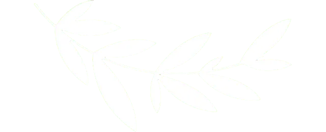 Willow Branch