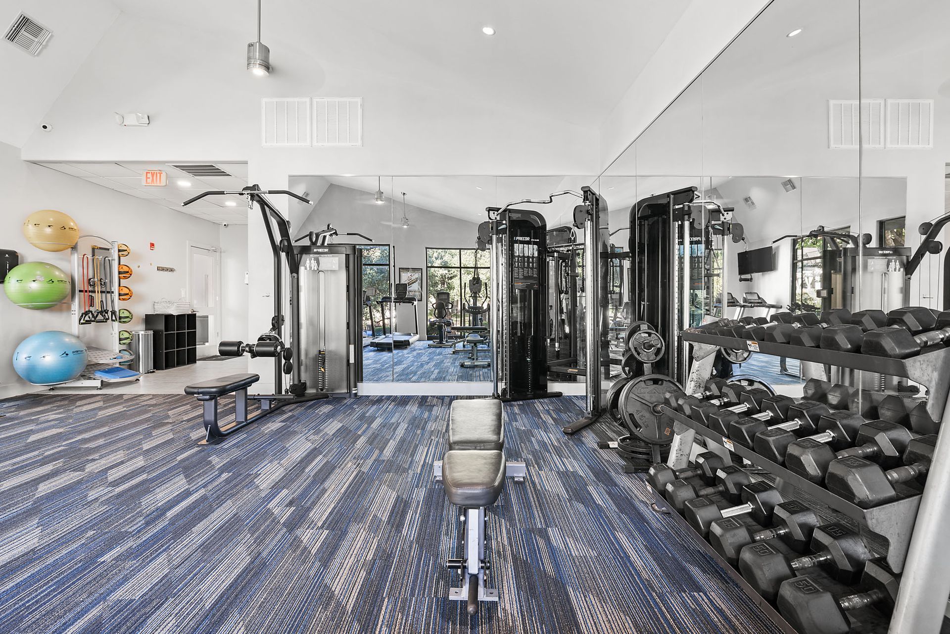 Bright gym interior with blue carpet, mirrors, exercise machines, and dumbbells on racks at Marquis at Great Hills in Austin, TX.