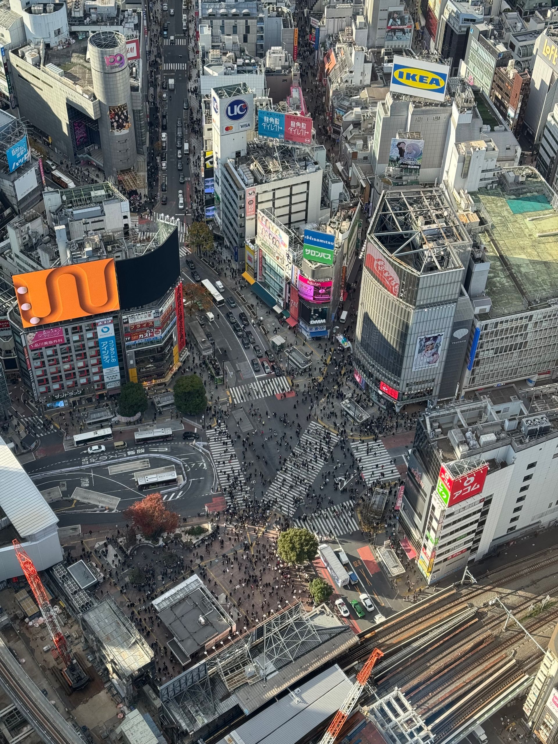 Shibuya Crossing
