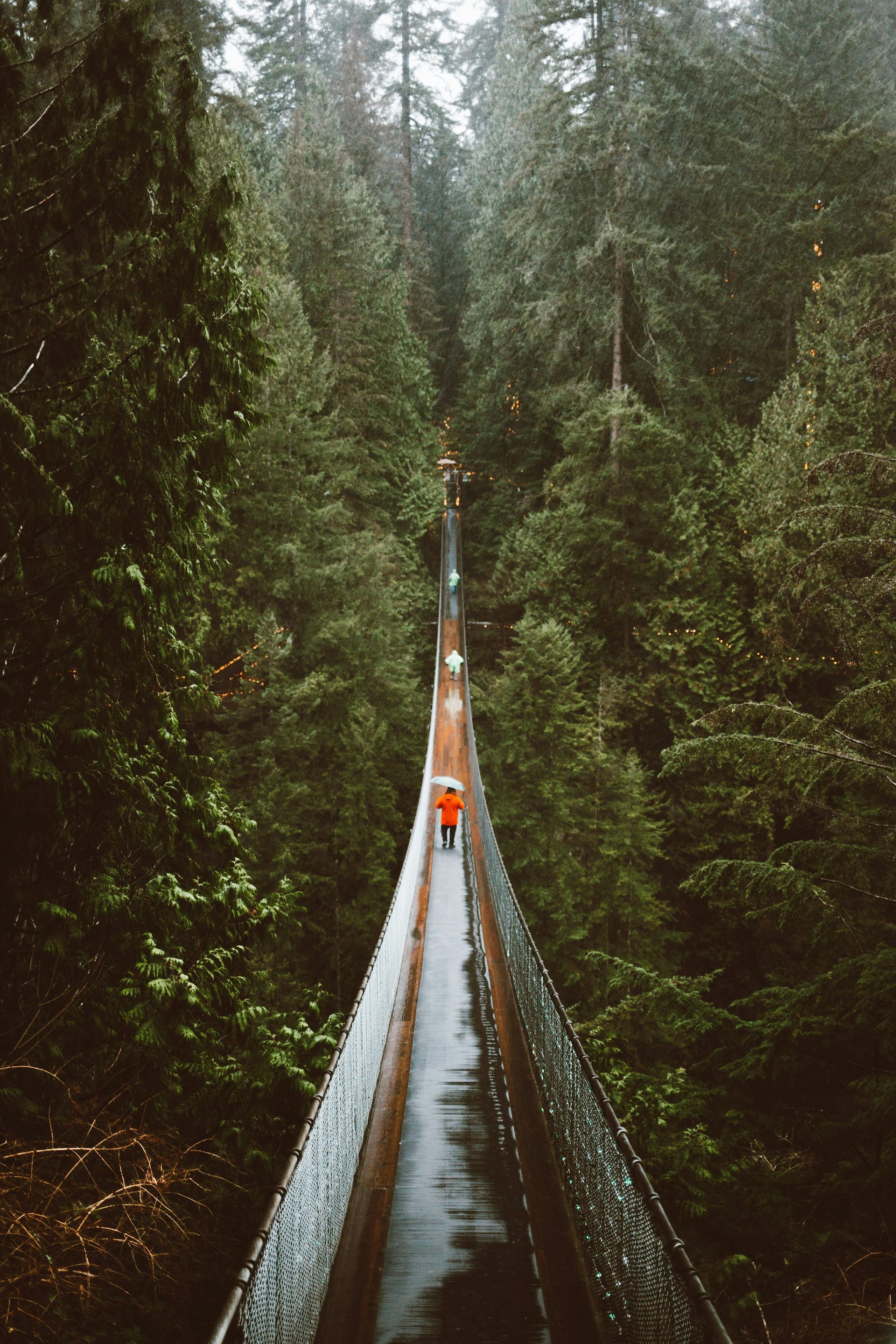 Capilano Suspension Bridge