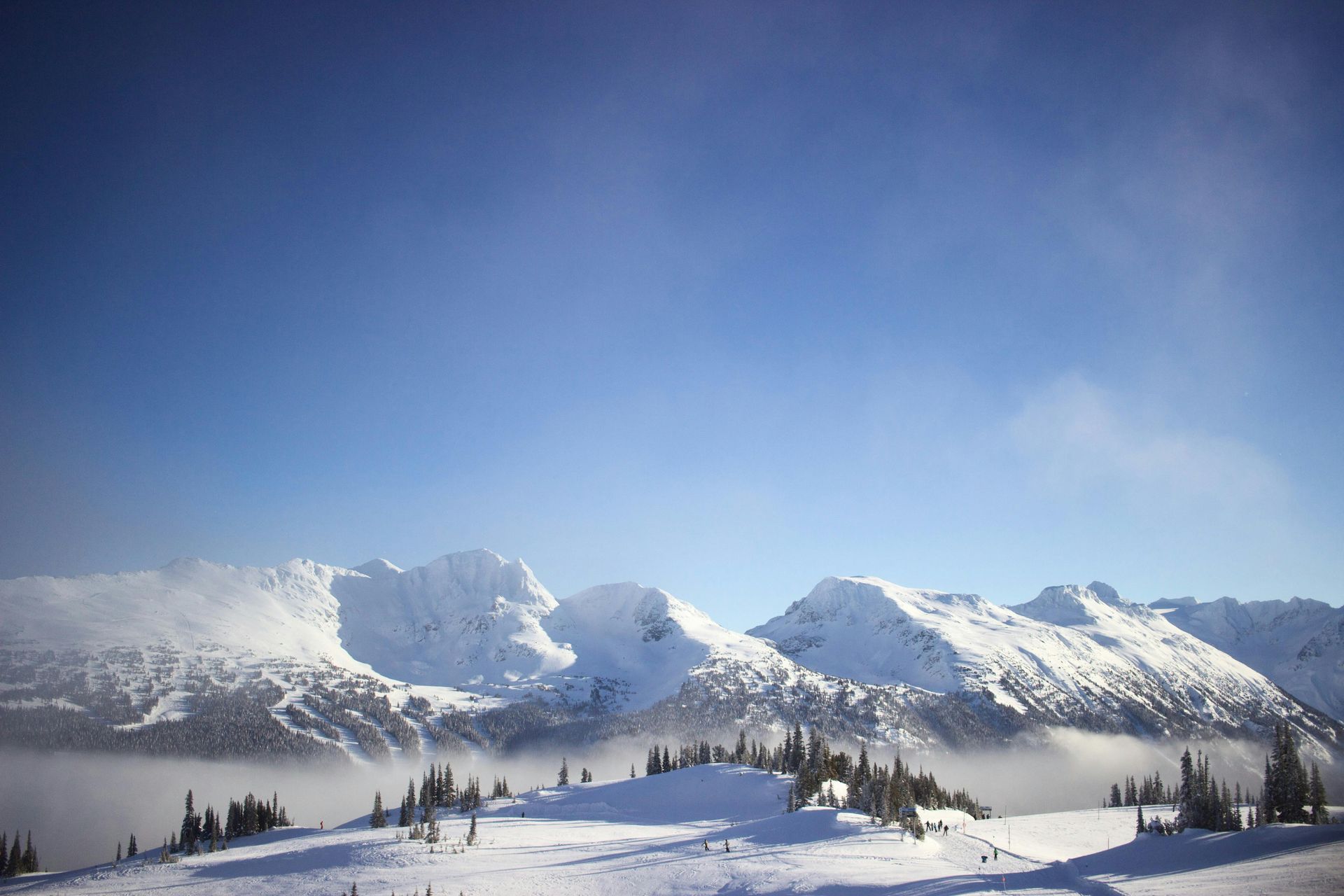 Whistler 