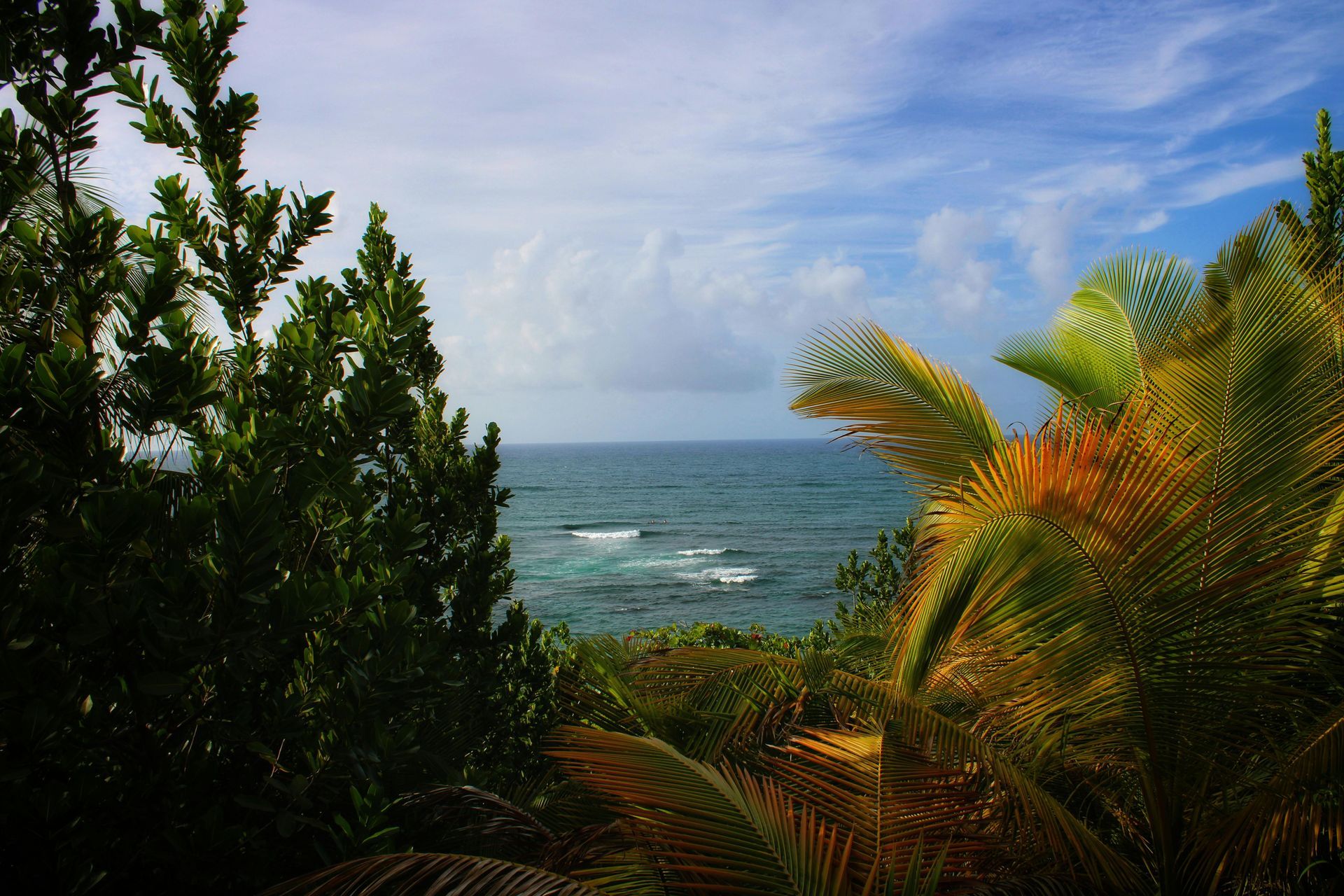 Puerto Rican beach
