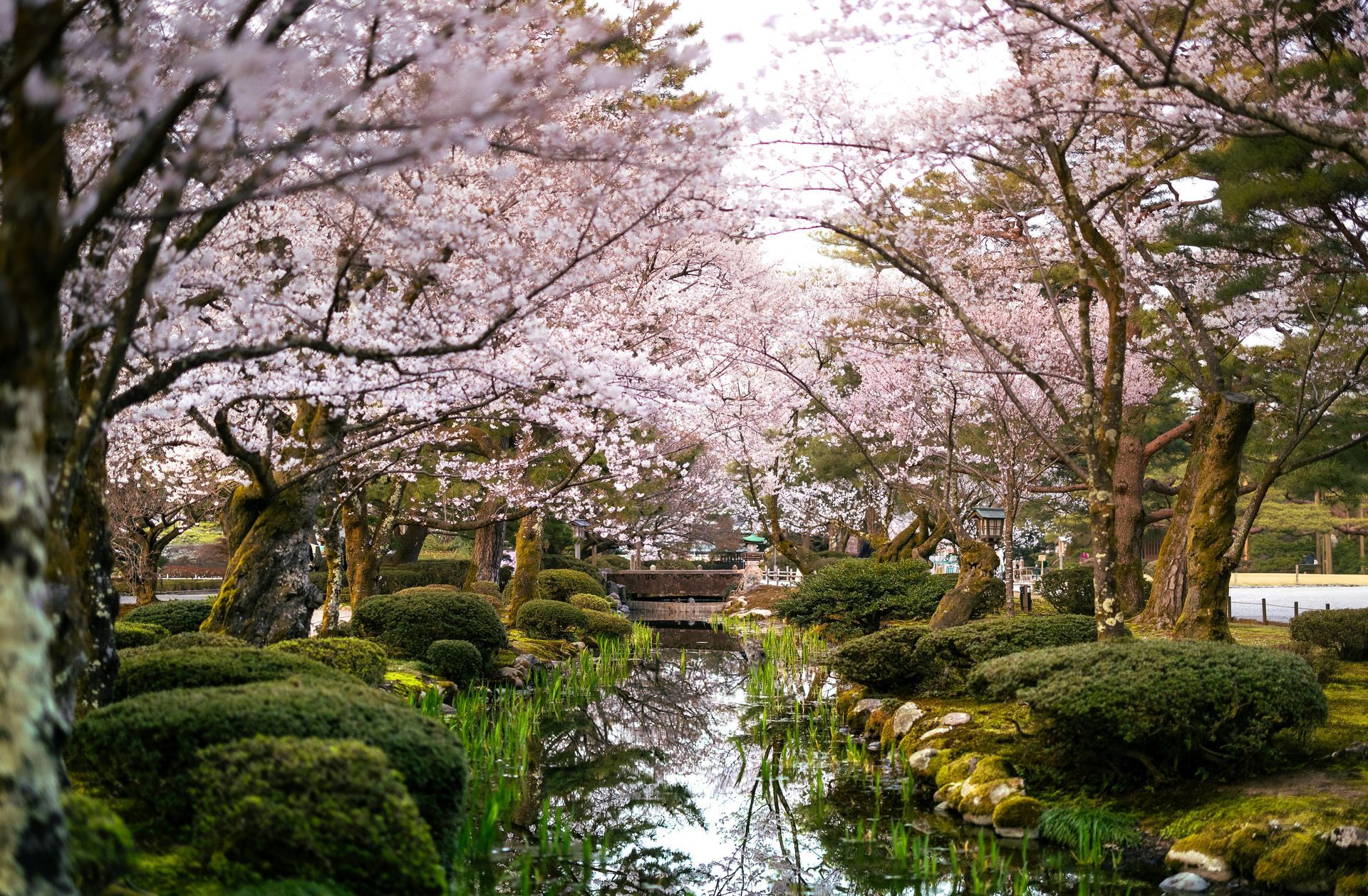 Kenrokuen Garden