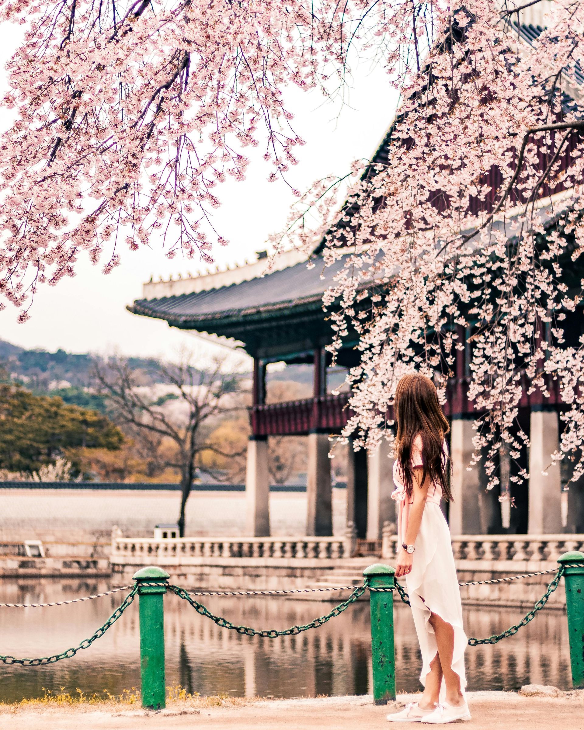 Gyeongbokgung Palace
