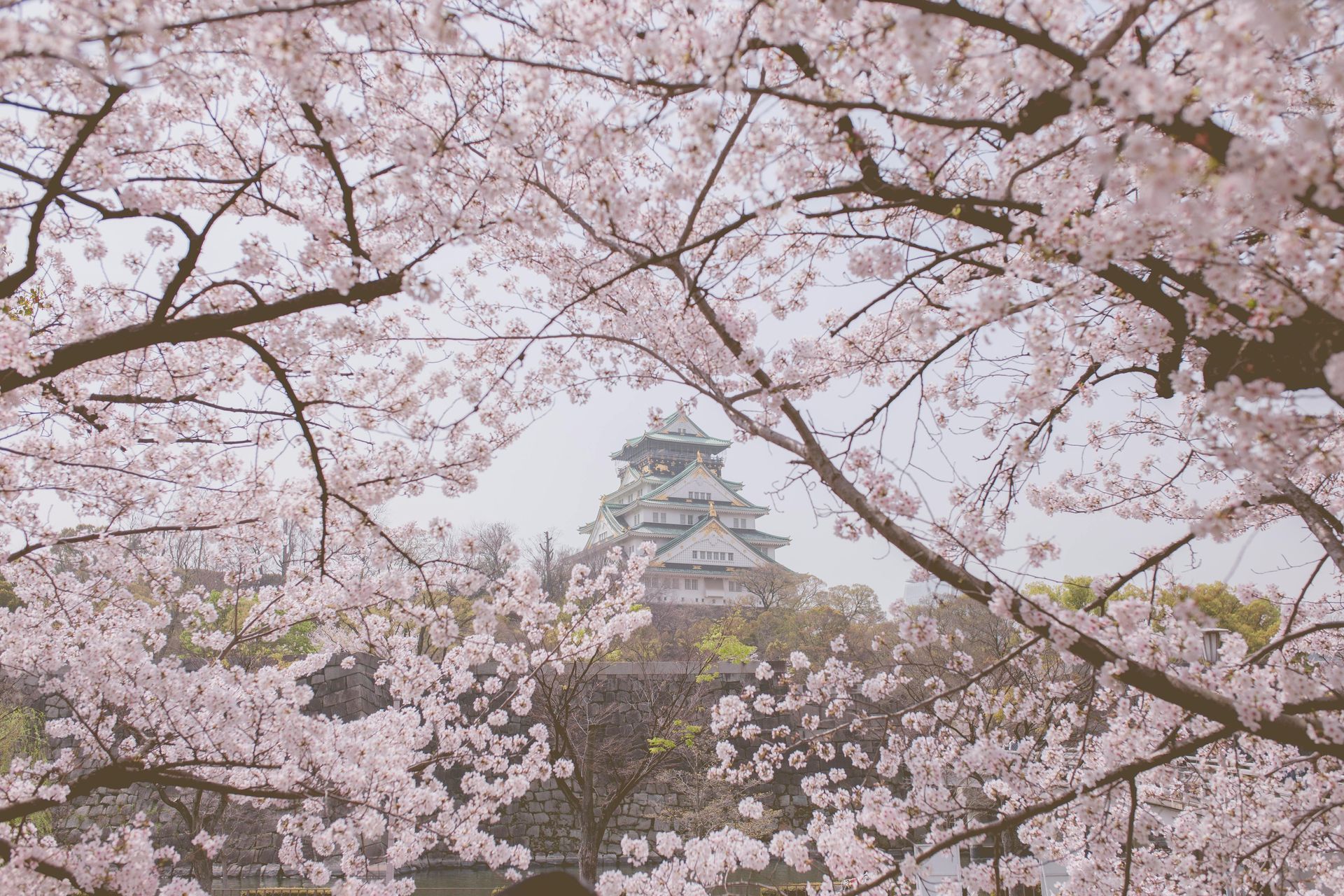 Hirosaki Castle 