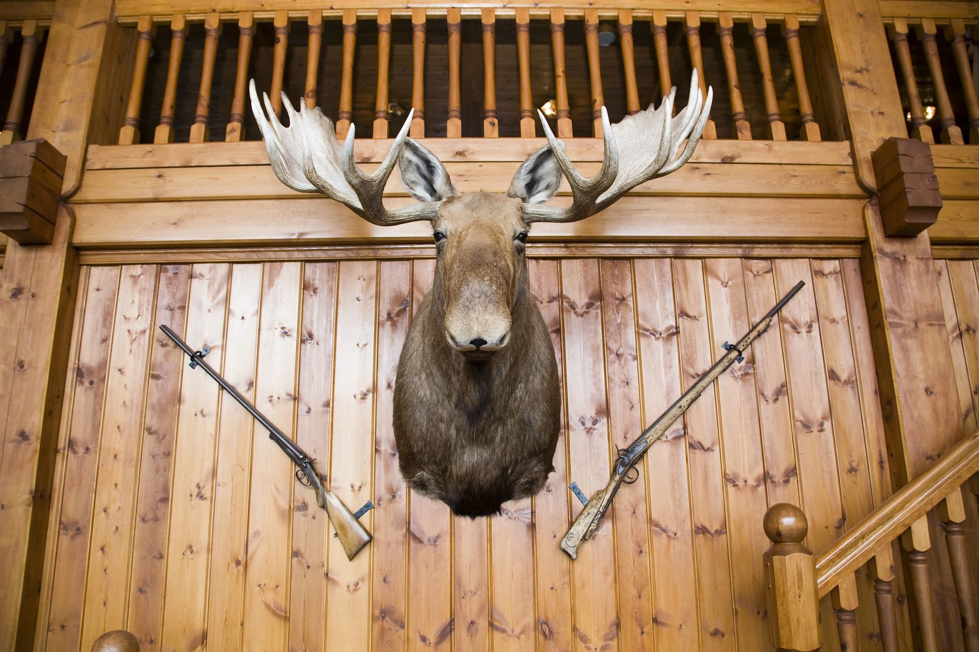Hunting Lodge in Johnston City, IL