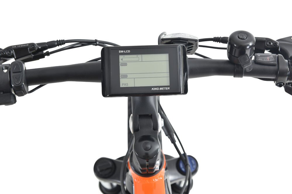 local electric bike dealers