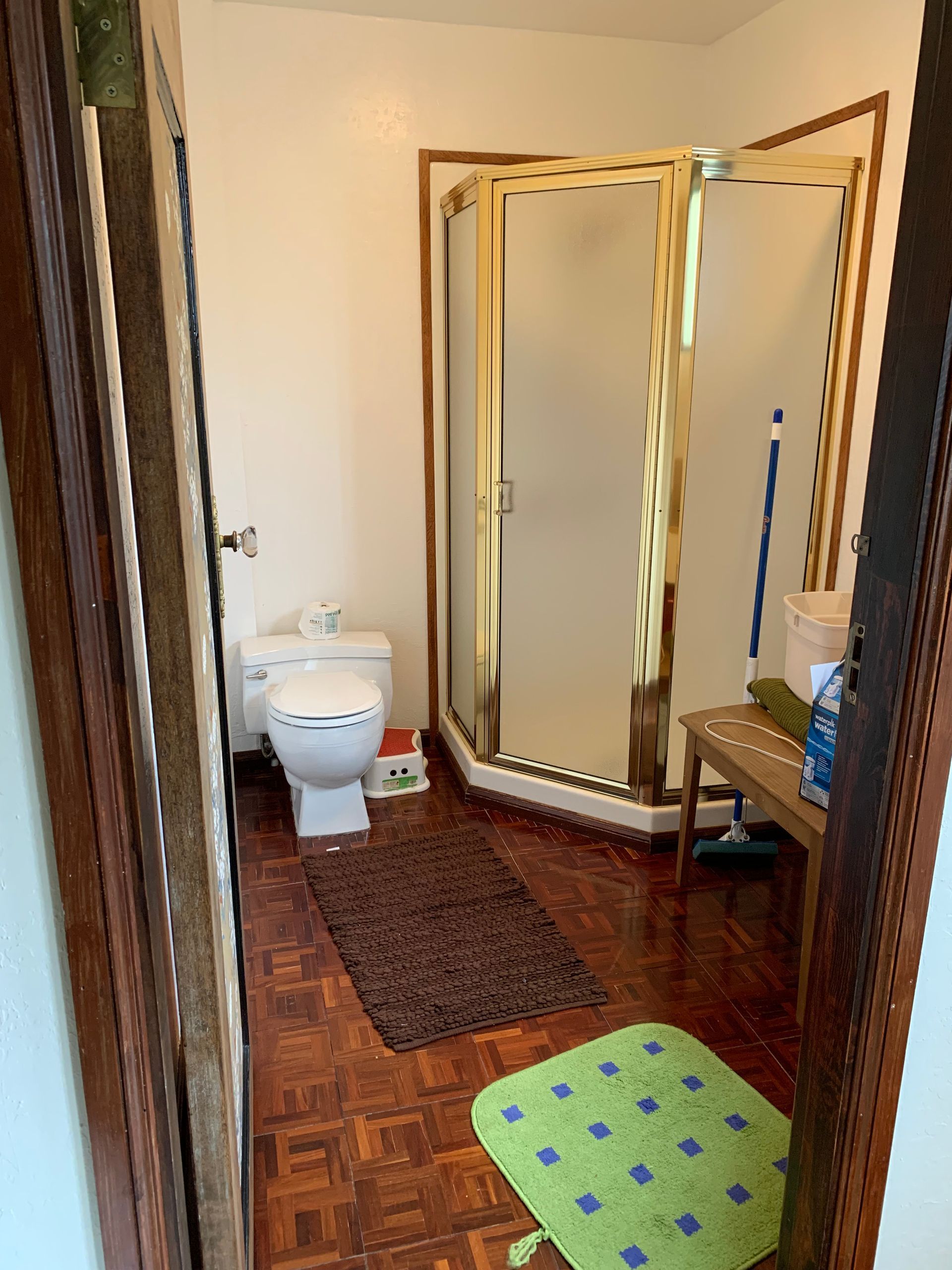 Bathroom with toilet, curved glass shower, wooden floor, and colorful bath mats.
