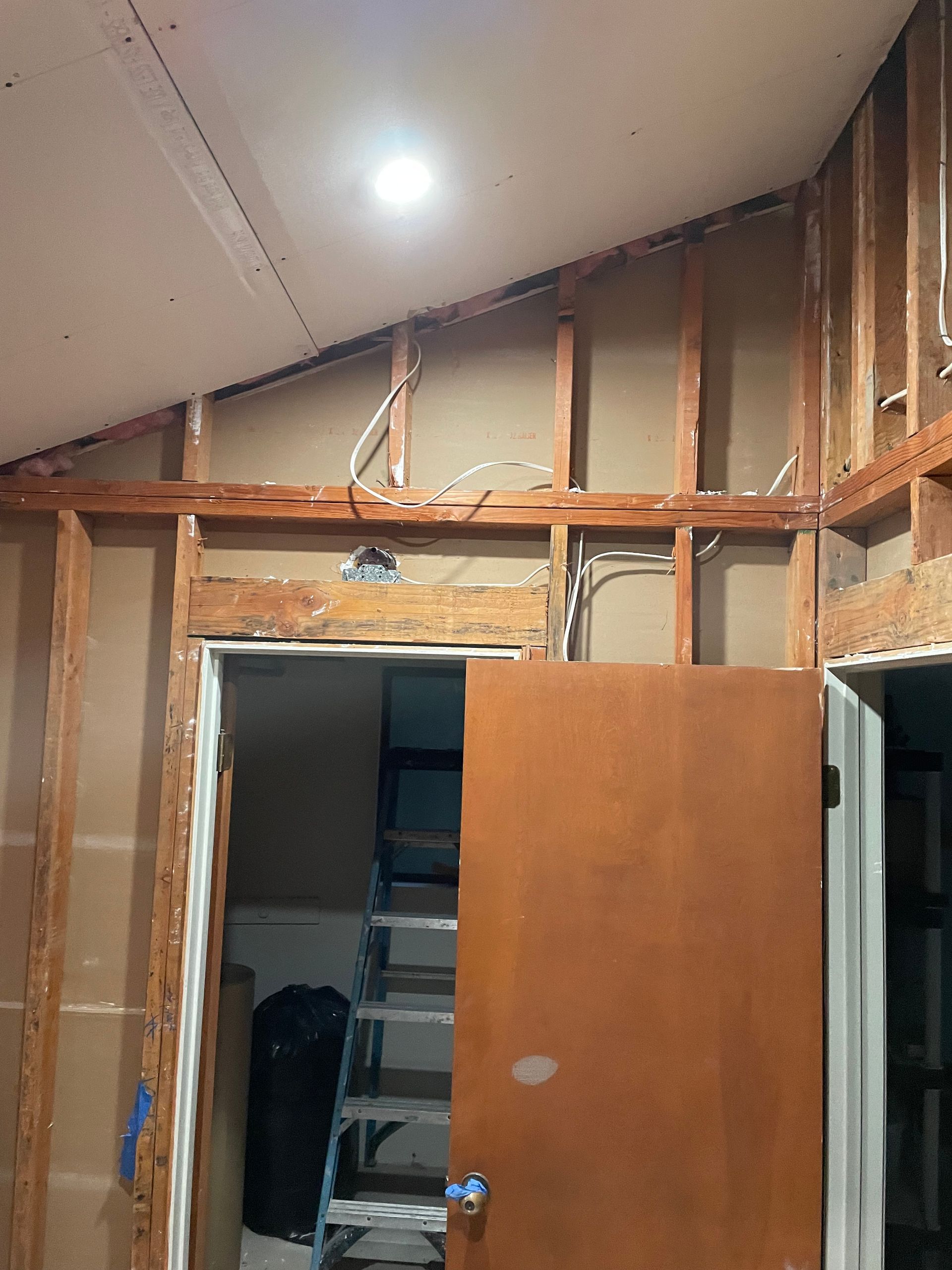 Partially renovated room with exposed wall framing, a ceiling light, and an open wooden door