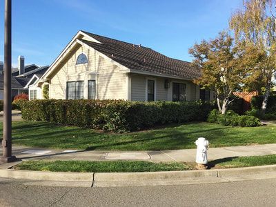 A house with a fire hydrant in front of it
