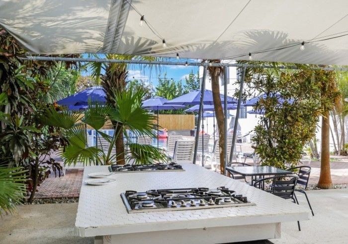 Outdoor patio with white table, black chairs, blue umbrellas, and lush potted plants under a canopy